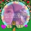 k_irizarry06